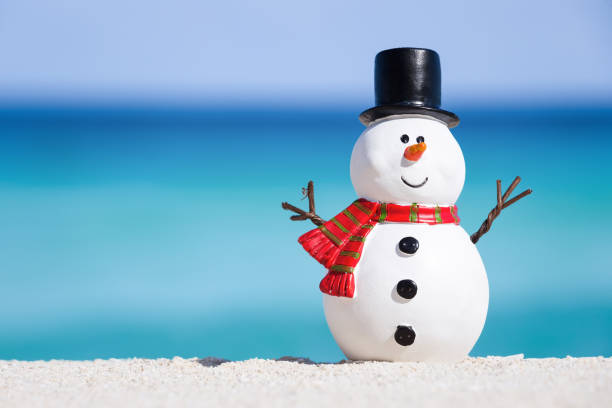 istock Snowman toy at white sandy beach on Caribbean sea background 1058005648