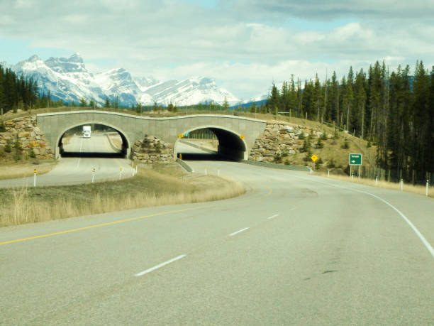 istock a lonesome road in canada 1058008206