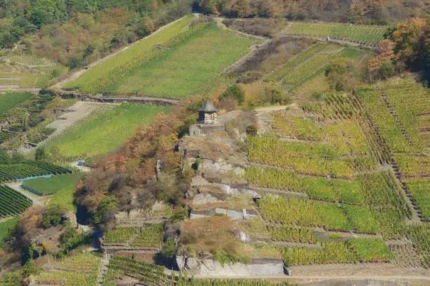 Vineyard Landscape and Red Wine Trail in Ahrtal near Bad Neuenahr-Ahrweiler,Rhineland-Palatinate,Germany