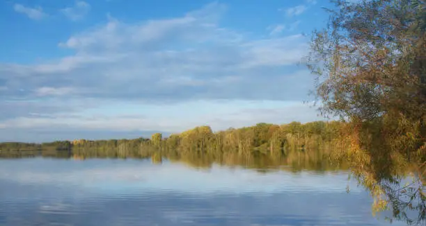 Landscape in Krickenbecker Seen Lake region in Schwalm-Nette Nature Park near Nettetal,Rhineland,Germany