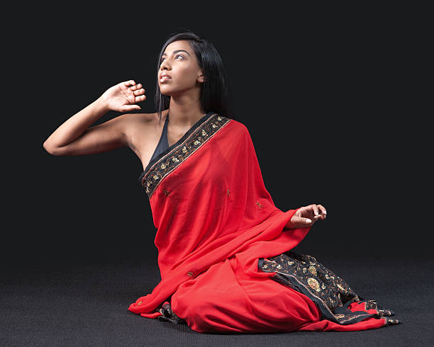 istock Beautiful Indian girl in red sari 105802409