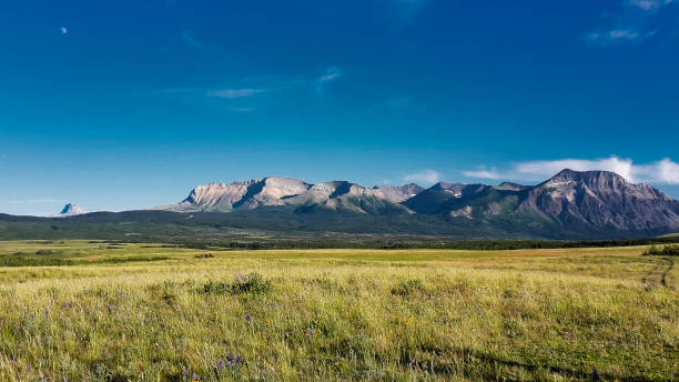 istock golden field with blue sky and mountains 1058026258