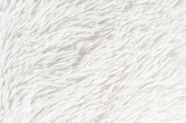 istock Fluffy plaid of polyester with a long heap gray. Comfortable home textiles. Background, texture 1058029458