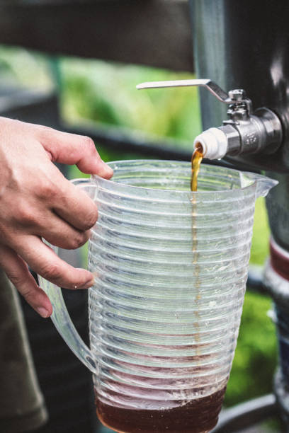istock Brew day. Home production of craft beer 1058033536