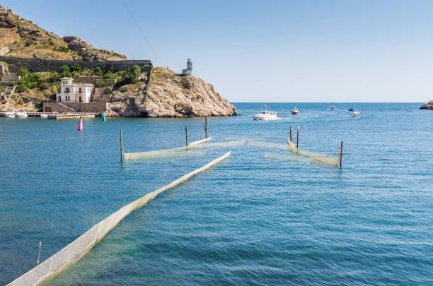 istock View of the sea bay. Protective networks 1058038474
