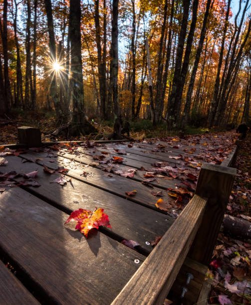 istock Autumn in Acadia National Park 1058042362