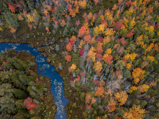 istock Autumn in Acadia National Park 1058043688
