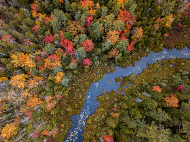 istock Autumn in Acadia National Park 1058044226