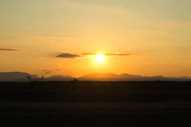 sunset on a field with mountains in back