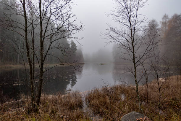istock foggy landscape over water  autumn in sweden 1058047232