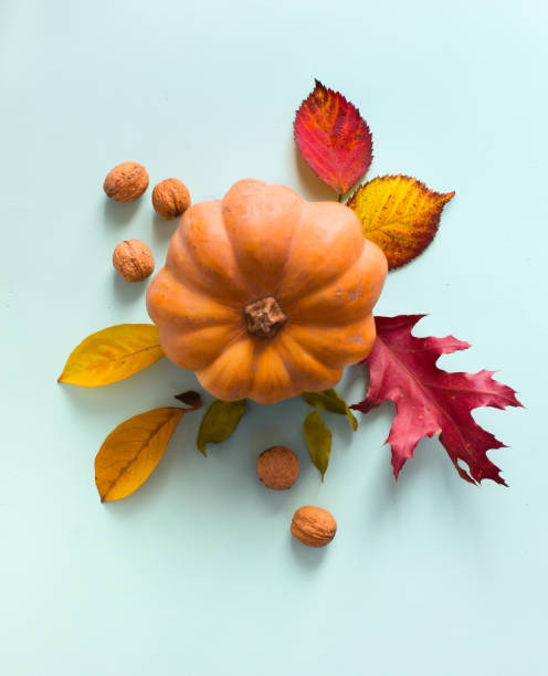 istock Pumpkin and autumn leaves; thanksgiving art background 1058054004