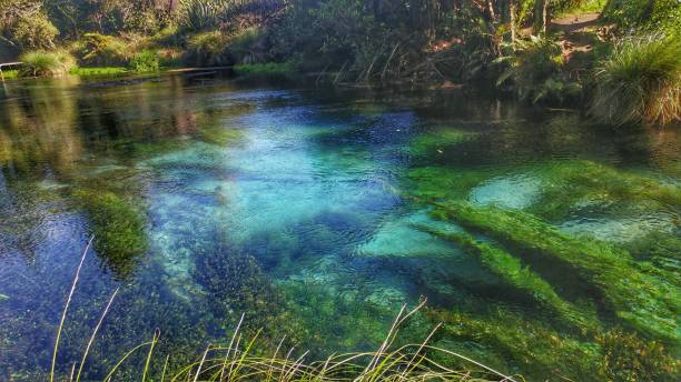 istock Hidden spot in New Zealand 1058059670
