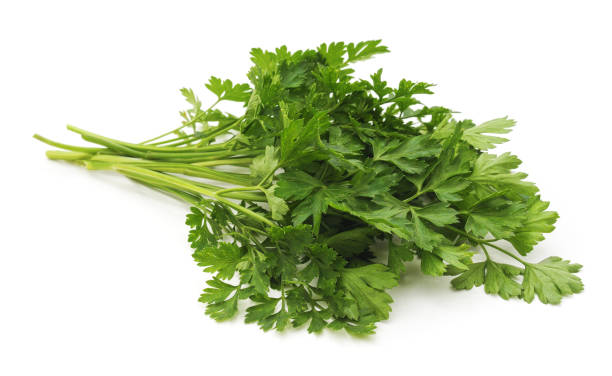 istock Bunch of green parsley. 1058059674