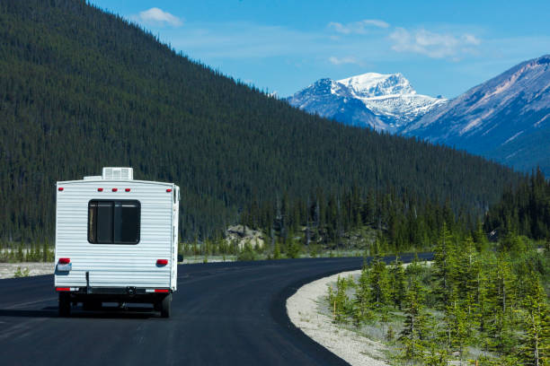 rv dans les montagnes rocheuses canadiennes du parc national banff, alberta, canada - driving motor home forest banff national park photos et images de collection