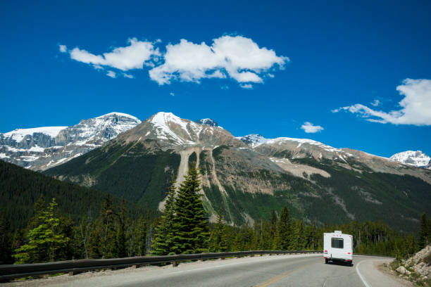 rv dans les montagnes rocheuses canadiennes du parc national banff, alberta, canada - driving motor home forest banff national park photos et images de collection