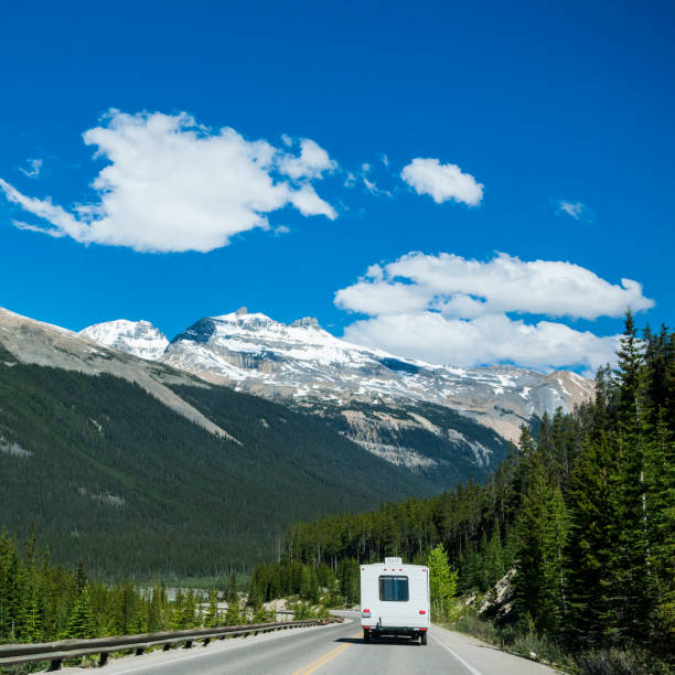 rv dans les montagnes rocheuses canadiennes du parc national banff, alberta, canada - driving motor home forest banff national park photos et images de collection