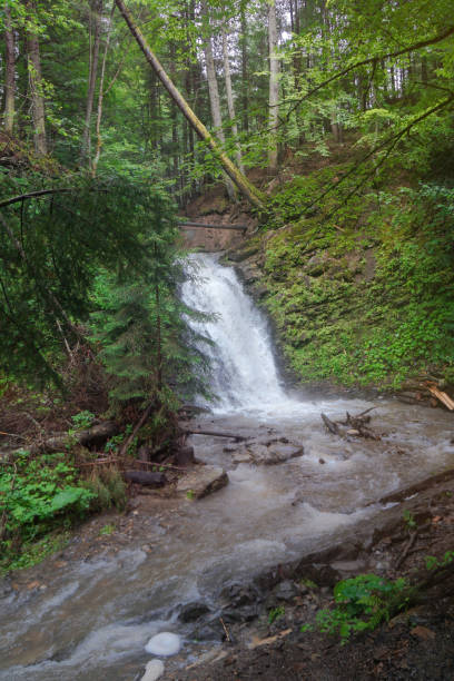 istock Beautiful forest waterfall in Europe. Small fast rivulet in the mountains with a beautiful view. Stock photo for design 1058070402