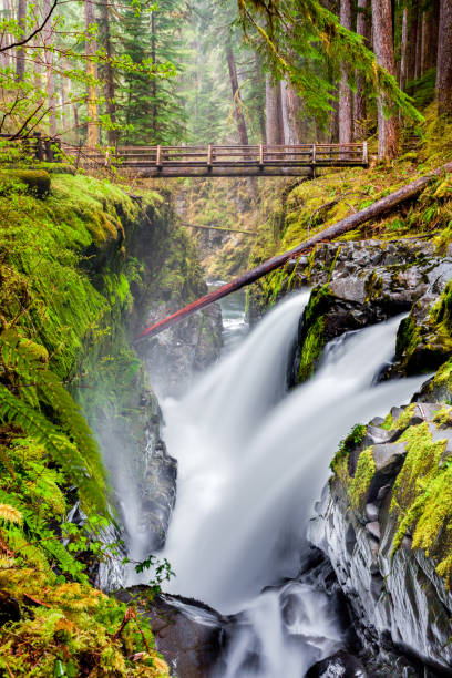 istock Sol Duc Falls, Olympic National Park, Washington State, USA 1058072216