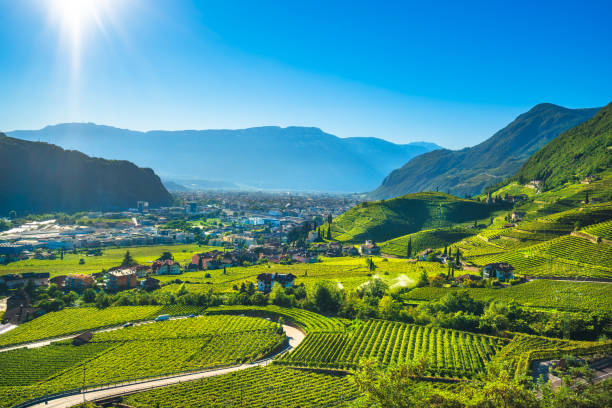 vue de vignobles de santa maddalena bolzano. italie, trentin-haut adige sud tyrol. - gewurztraminer photos et images de collection