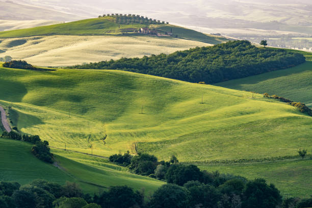 istock Sunny landscape from Val d'Orcia, Tuscany, Italy 1058078646