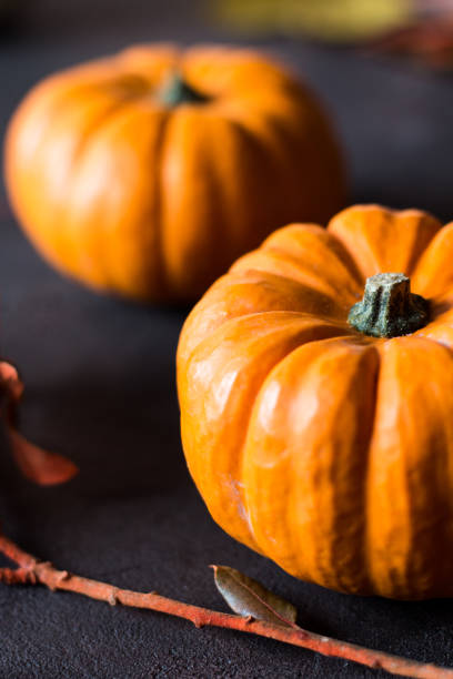 istock bright orange mini pumpkins for halloween on black background 1058081570