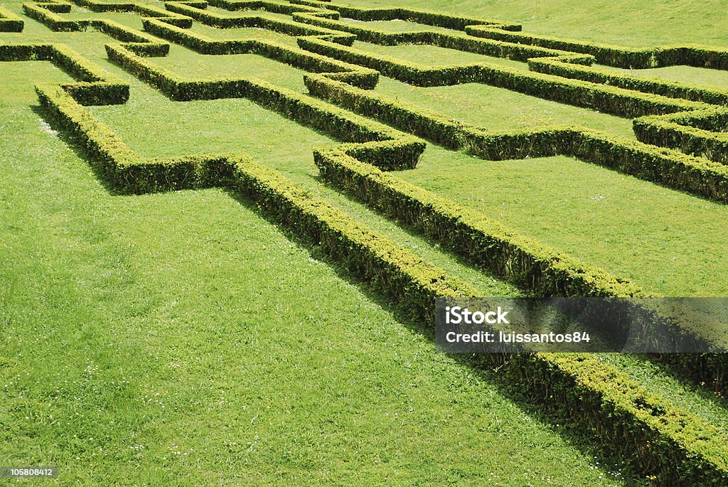 Cuted bushes  Beauty In Nature Stock Photo