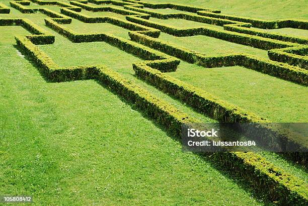 Cuted Bushes Stock Photo - Download Image Now - Beauty In Nature, Bush, Color Image