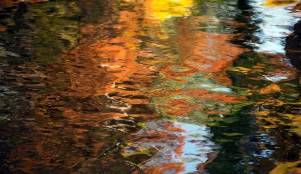 istock Autumn colors reflected in lake 1058091344