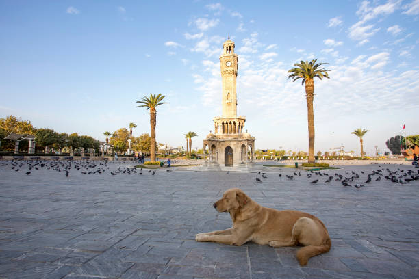 foto concettuale di viaggio; turchia / smirne / konak / storica vecchia torre dell'orologio / piazza konak - izmir turkey konak clock tower foto e immagini stock