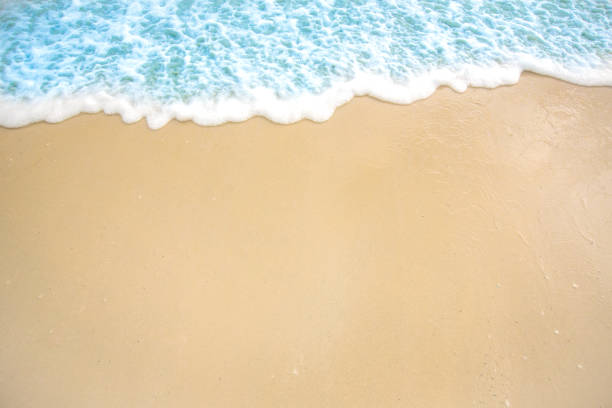 istock soft wave of blue ocean on sandy beach. background. selective focus. beach and tropical sea white foam on beach. 1058096964