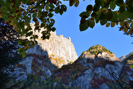 Picture of Mello's Valley in autumn