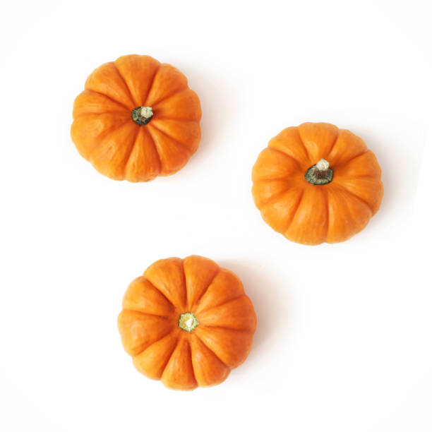Autumn composition of little orange pumpkins isolated on white table background. Fall, Halloween and Thanksgiving concept. Styled stock flat lay photography. Top view, square. Vegetable design. stock photo