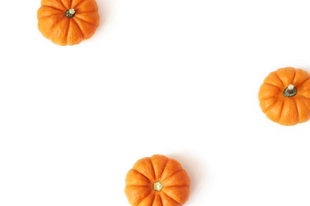 jesienna ramka wykonana z małych pomarańczowych dyń izolowanych na białym tle stołu. jesień, halloween i dziękczynienia koncepcji. stylizowane czas płaskie świeckich fotografii. widok z góry. puste miejsce na tekst. jarzyna. - miniature pumpkin zdjęcia i obrazy z banku zdjęć