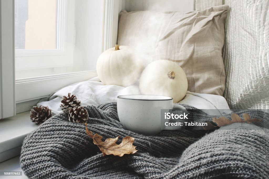 Cozy autumn morning breakfast in bed still life scene. Steaming cup of hot coffee, tea standing near window. Fall, Thanksgiving concept. White pumpkins, pine cones and oak leaves on wool plaid. Cozy autumn morning breakfast in bed still life scene. Steaming cup of hot coffee, tea standing near window. Fall, Thanksgiving concept, white pumpkins, pine cones and oak leaves on wool plaid. Autumn Stock Photo