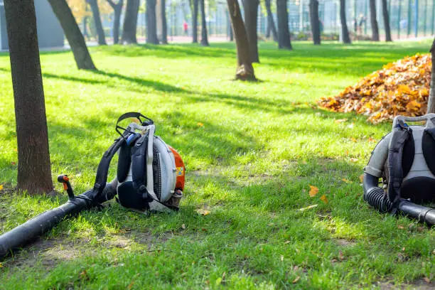 Photo of Heavy duty foliage blower lying on clean grass in city park in autumn. Seasonal leaves cleaning and removal service in fall