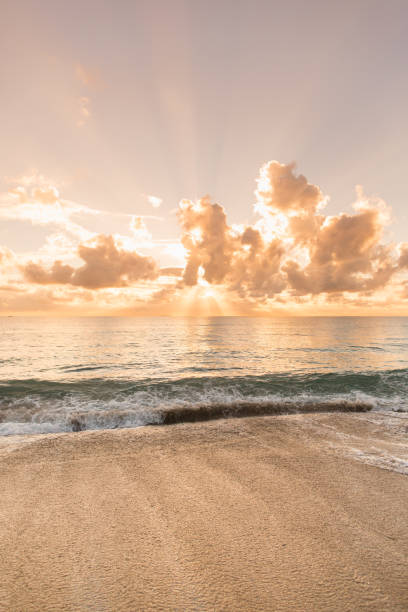 istock Golden Palm Beach Sunrise 1058118300