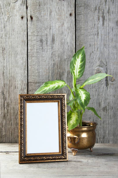 istock Empty picture frame on wooden background. 1058119542