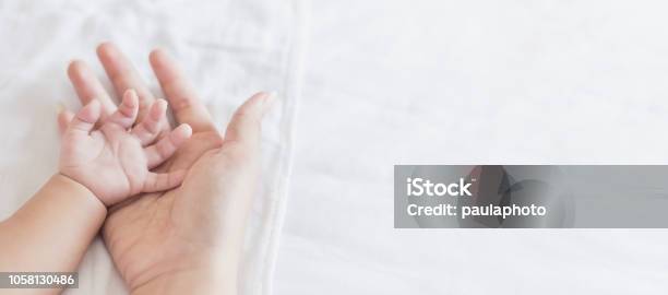 Close Up Father Or Mother Hands Holding Newborn Baby Copy Space Background Banner Stock Photo - Download Image Now