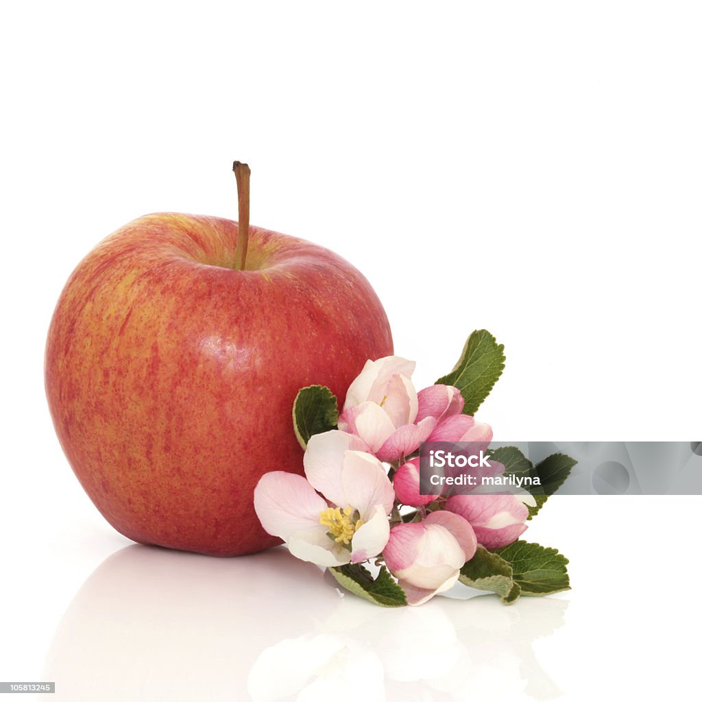 Roter Apfel und Blume Blüte - Lizenzfrei Apfel Stock-Foto