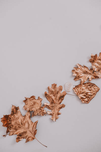 istock Fall rose gold leaves flatlay on white 1058133028