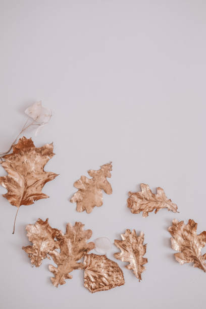 istock Fall rose gold leaves flatlay on white 1058133034