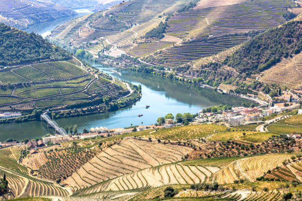 istock Douro valley view from Casal de Loivos observation point 1058138648