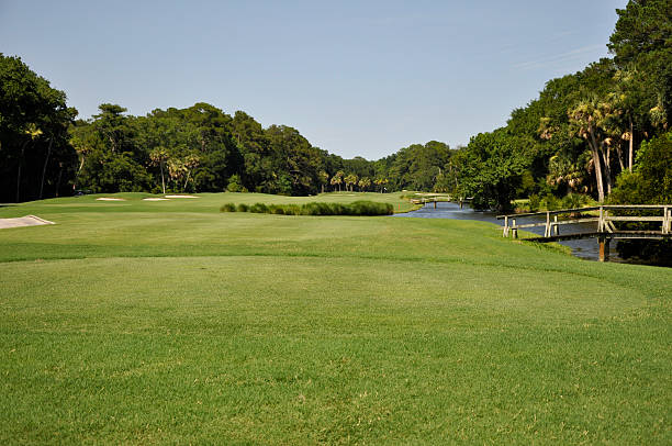 golf course fairway  hilton head photos stock pictures, royalty-free photos & images