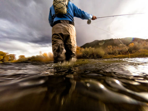 Fly Fishing Casting Fly Fishing Casting - Scenic river location lifestyle and leisure outdoor life. fly fishing stock pictures, royalty-free photos & images