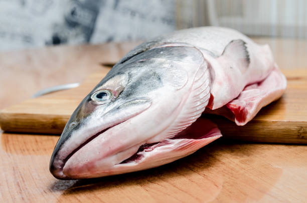 istock Fresh salmon head close up. healthy diet.  seafood. 1058150280