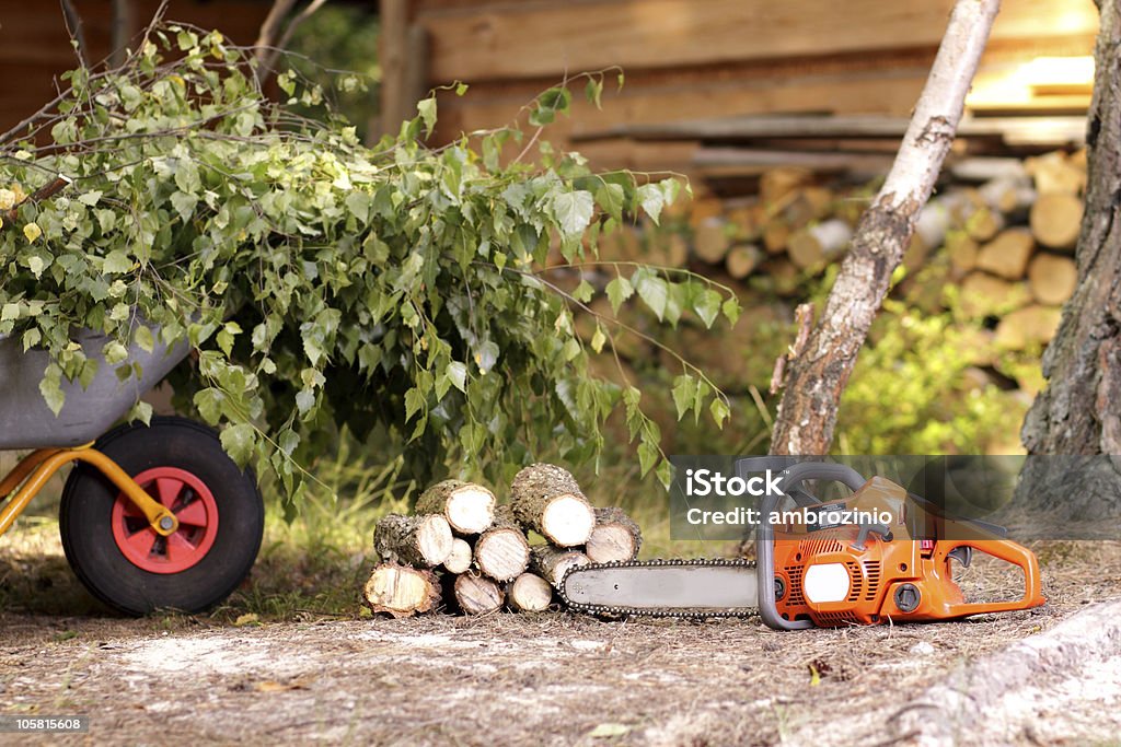 Umweltschutz-Reinigungsaktion im Garten - Lizenzfrei Ast - Pflanzenbestandteil Stock-Foto