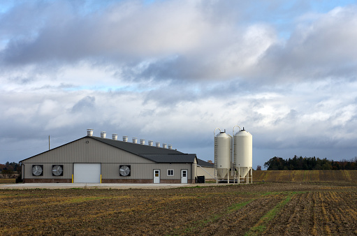 A newly constructed single story poultry barn in a rural setting.