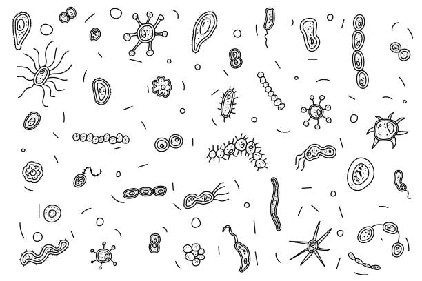 bakteri hücreleri kompozisyon ayarlayın. vektör çizim. - mikroorganizma stock illustrations