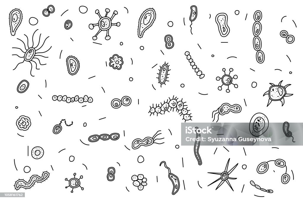 Bacteria cells set composition. Vector illustration. Set of bacteria cells. Microorganism collection sketch. coloring page objects. Vector doodle style composition. Bacterium stock vector