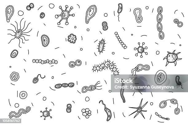 Bacteria Cells Set Composition Vector Illustration Stock Illustration - Download Image Now